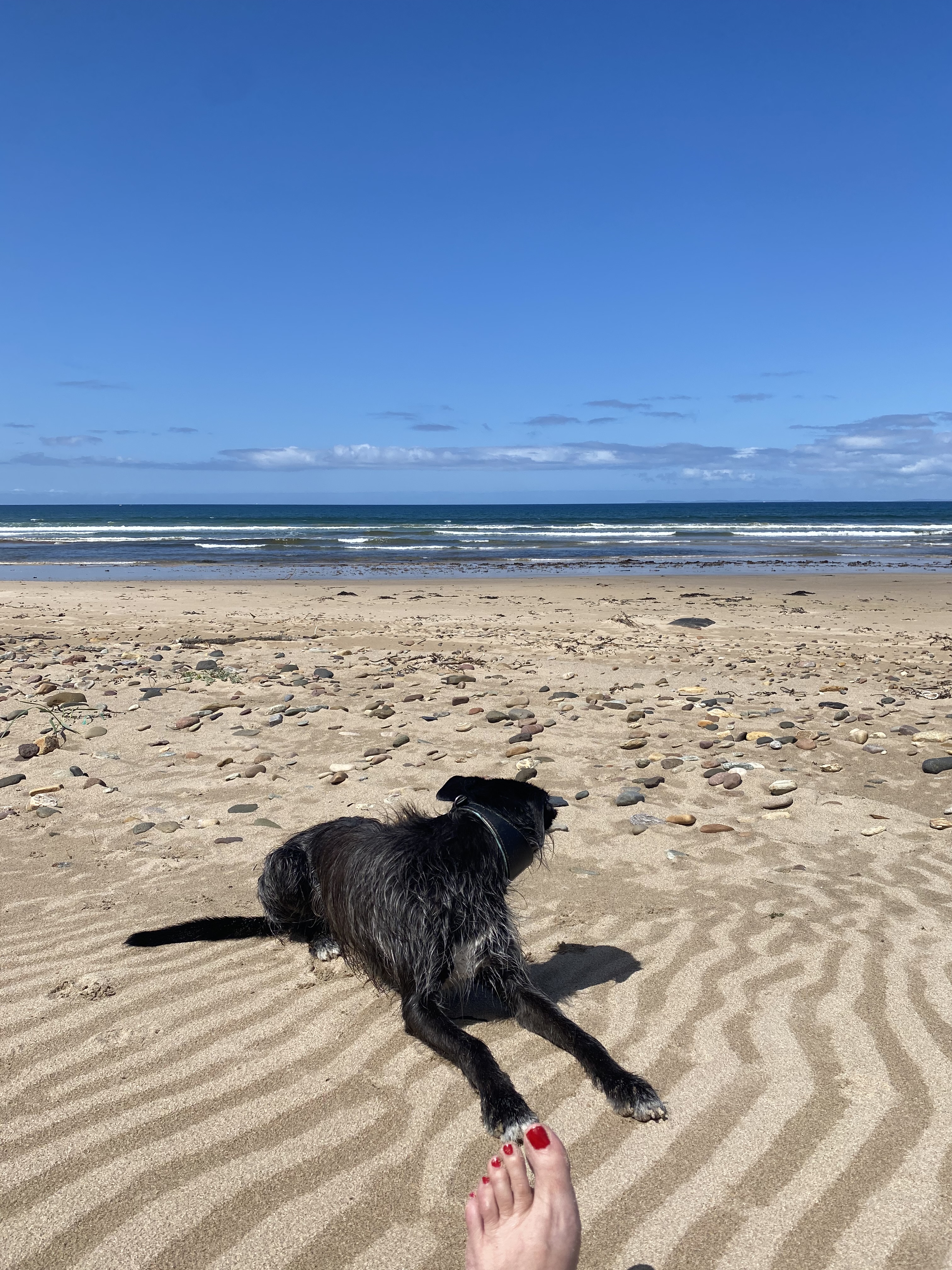 Esk on the Beach at Machrihanish